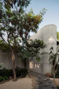 A tall curved wall made of vertical corrugated metal stands beside a mature tropical tree with feathery leaves and seed pods, surrounded by lush landscaping and a stone pathway.