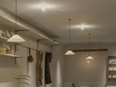 Interior view of a minimalist restaurant featuring a very long curved solid oak communal dining table with wooden chairs, hanging pendant lights, open shelving, and a potted plant on the table.