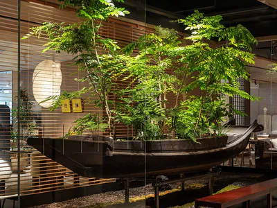 一艘大型深色木船內種滿各種綠樹與植物，作為藝術裝置展示在現代客廳中，透過玻璃牆觀賞，背景有木百葉窗。
