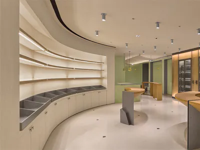 Modern jewelry boutique interior featuring curved white display shelves, concrete rock-like display cases, warm oak counters, and soft green accent walls under artistic ceiling lighting.