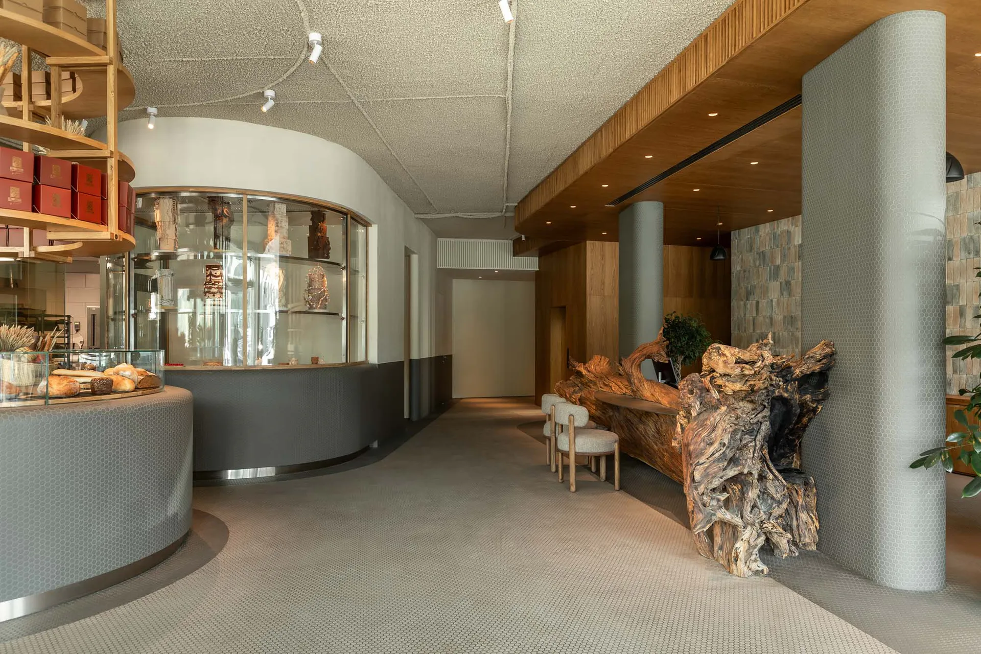 Modern bakery interior featuring a curved grey honeycomb counter, glass pastry display, wooden shelving with red boxes, and a massive live-edge tree root table with upholstered chairs.