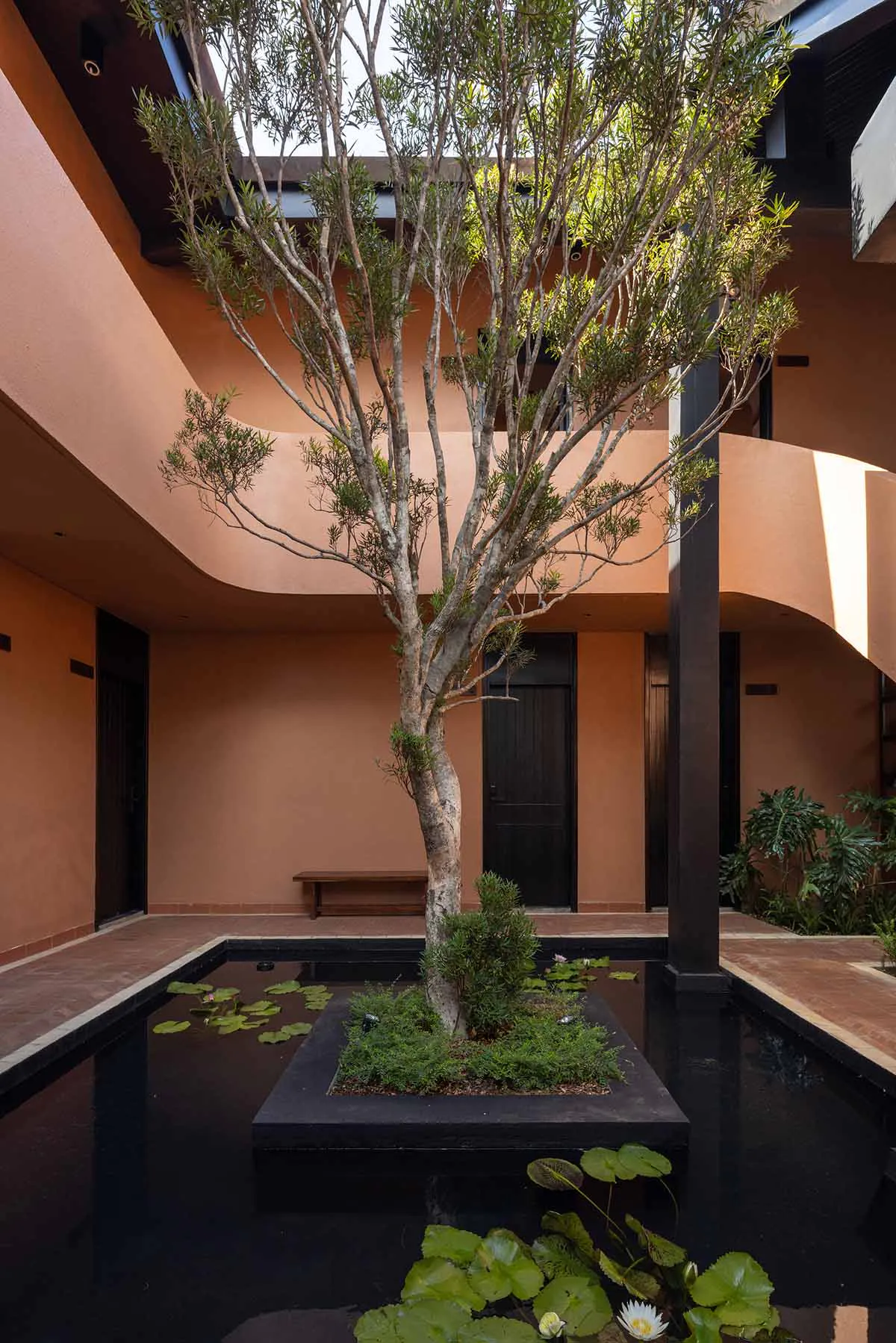 Modern courtyard garden with a central tree planted on a black platform in a dark reflective pond filled with water lilies, surrounded by curved terracotta-colored walls and dark wood doors.