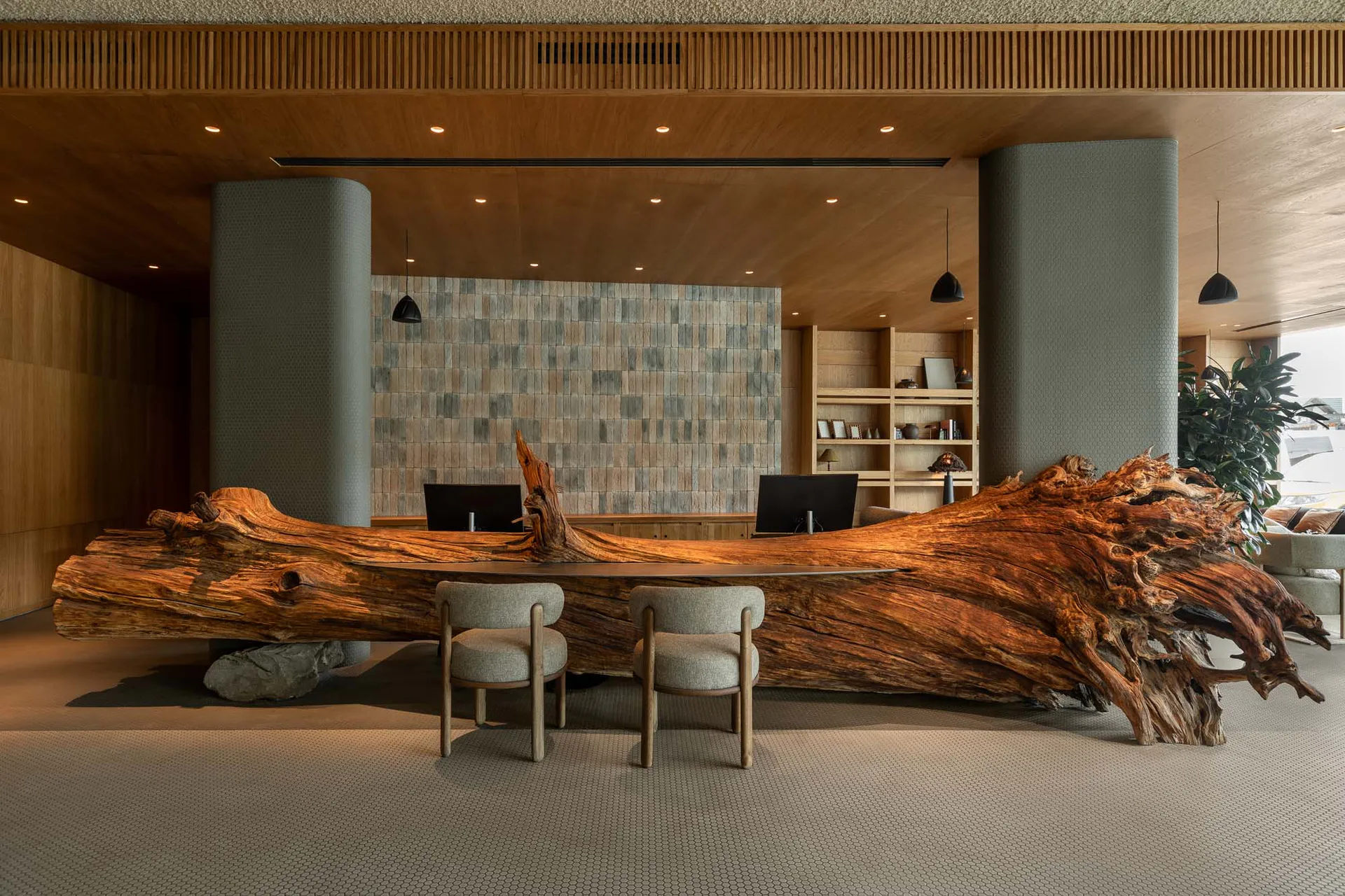 A large reception desk made from a massive polished live-edge wood slab with natural gnarled edges, positioned in a modern lobby with two upholstered chairs in front, computer monitors behind, wood-paneled ceiling, stone-tiled accent wall, and cylindrical pillars.
