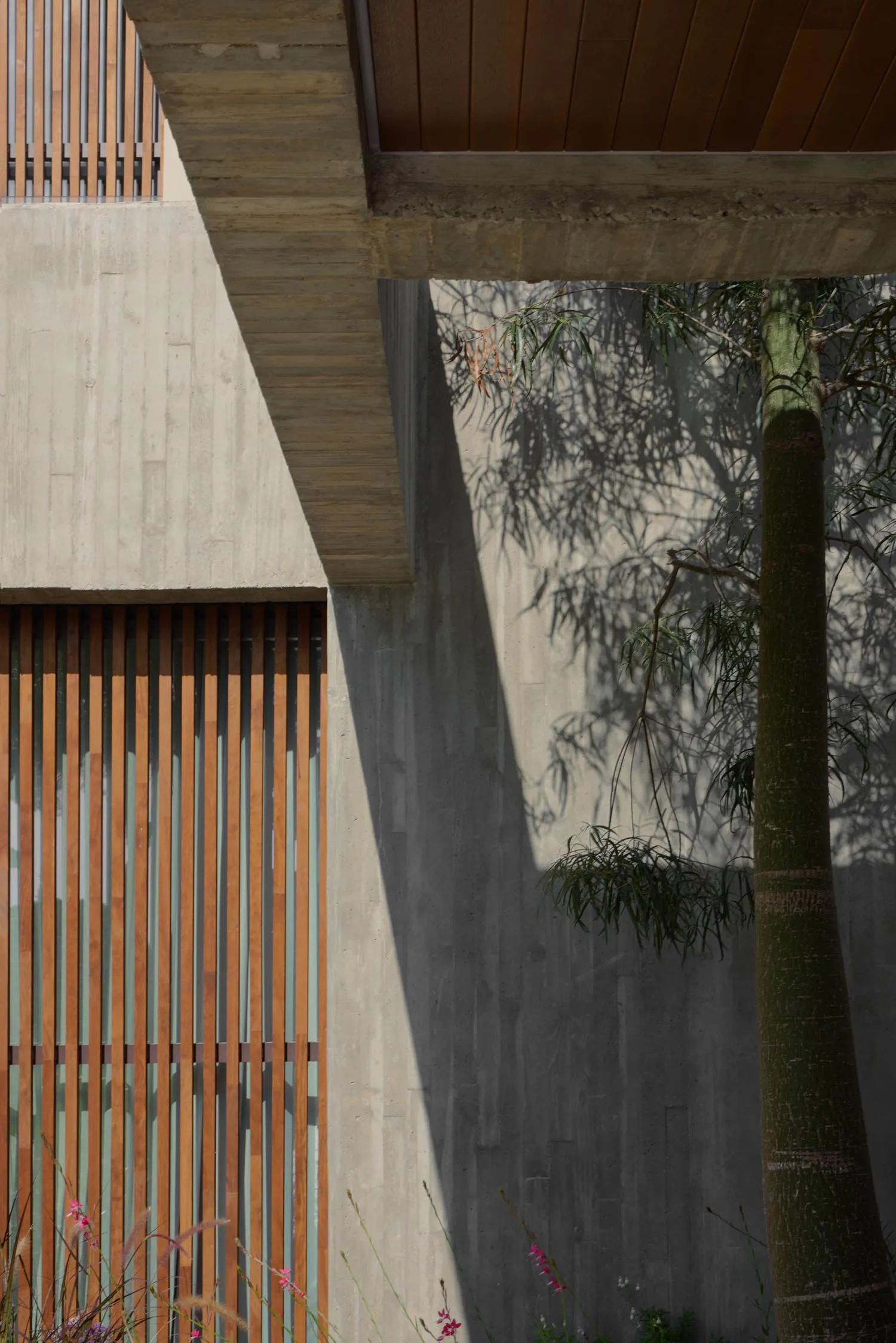 Architectural detail showing a raw concrete wall, vertical wooden slats, overhanging concrete beam, and a tall tree casting intricate leaf shadows under bright sunlight.
