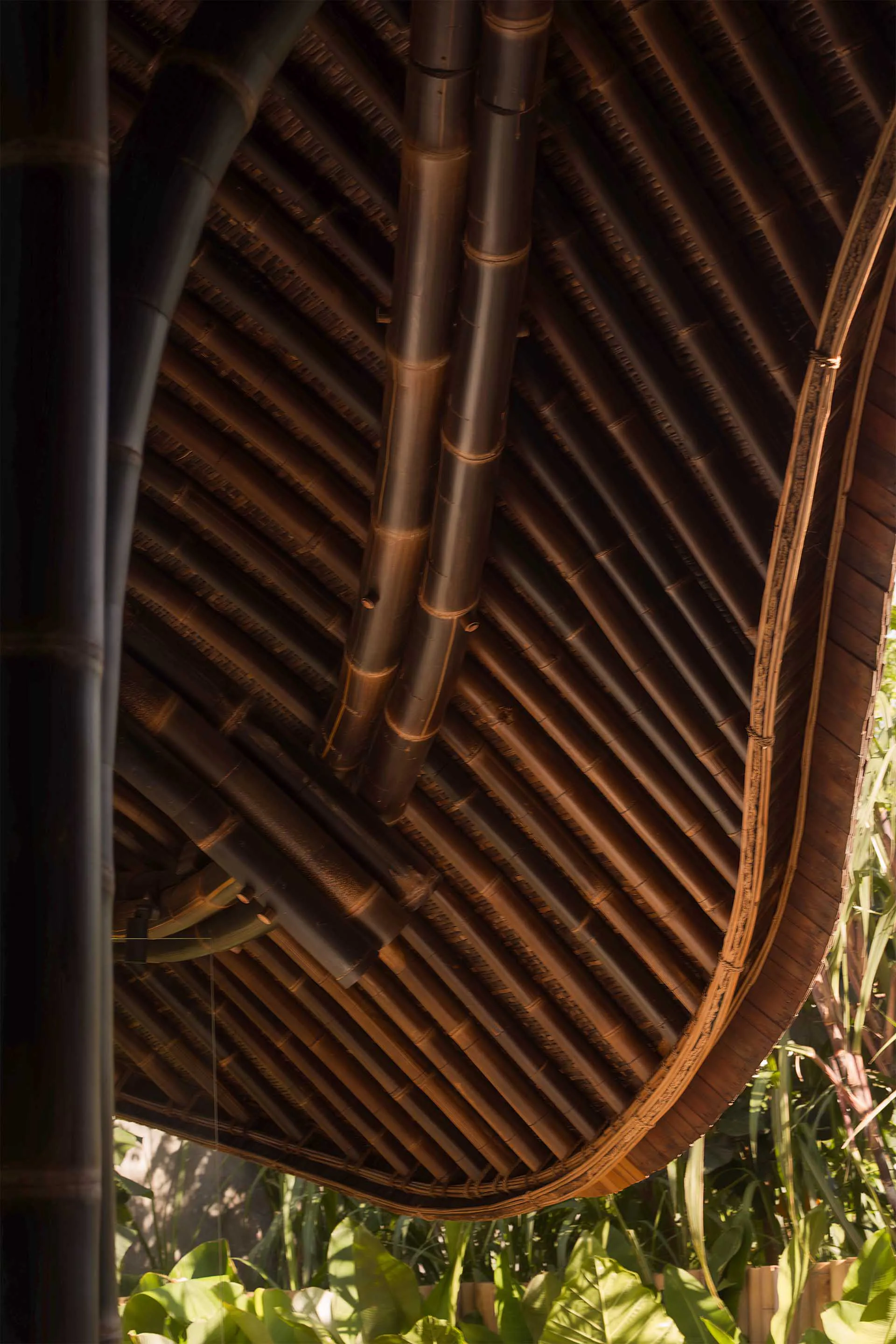 Looking up at an intricately woven curved bamboo ceiling with thick vertical bamboo support poles and lush green tropical plants visible below.