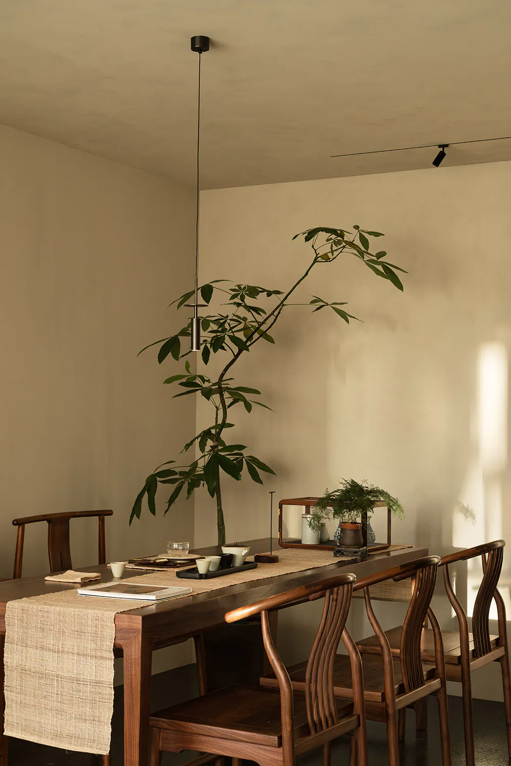 Minimalist dining room featuring a long dark rosewood table, matching wishbone chairs, a tall pendant light, and a large pachira aquatica tree in the corner.