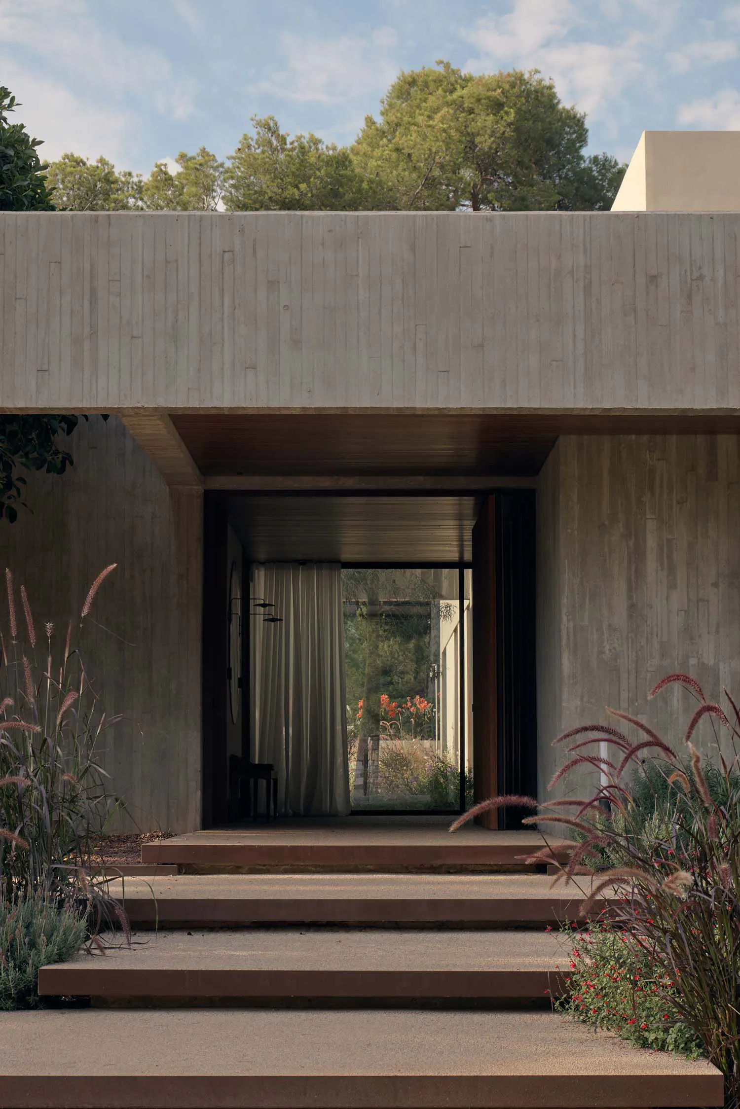 View of a modern concrete house entrance featuring wide concrete steps, wooden ceiling detail, large glass doors, and ornamental grasses in the foreground.