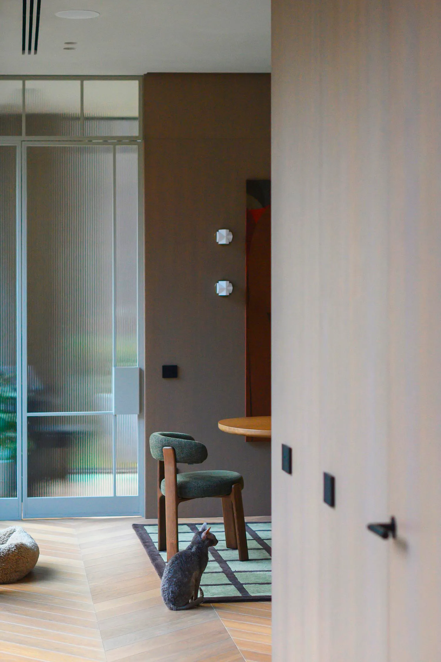 Modern minimalist interior featuring a wooden dining table, green upholstered chair, Sphynx cat on a green and black rug, large glass doors, and warm wood flooring.