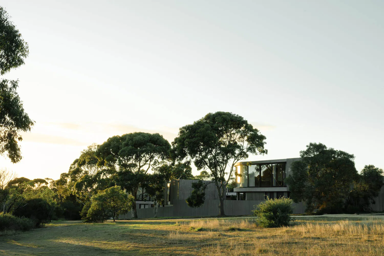 Modern house with large glass windows and corten steel cladding surrounded by mature eucalyptus trees in a grassy field during golden hour sunset
