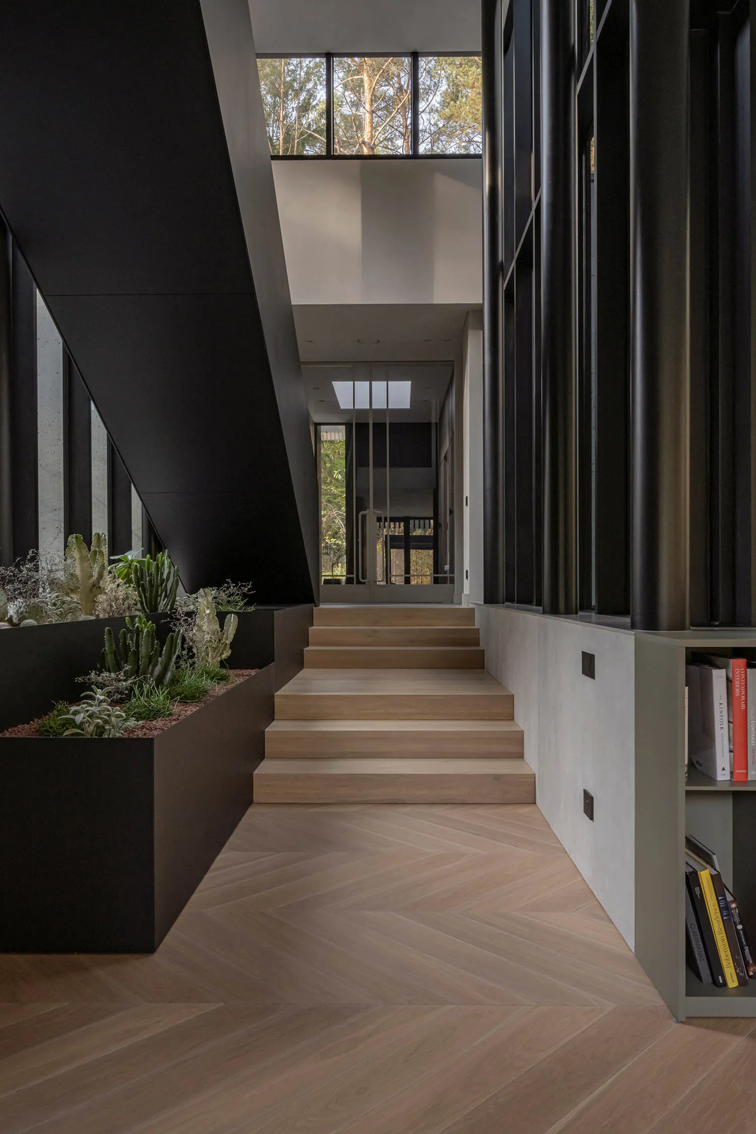 Modern minimalist interior entryway with light oak herringbone floor, wide oak staircase, large black concrete planter filled with cacti and succulents, dark metal and glass walls, and high clerestory windows overlooking pine trees.