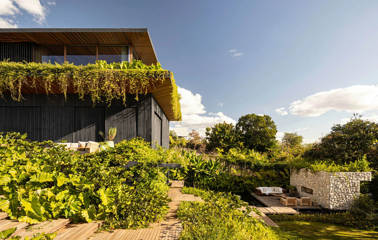 Modern dark charred wood house with a living green roof covered in cascading plants, surrounded by a lush tropical garden with wooden walkways and outdoor seating areas under a bright blue sky.
