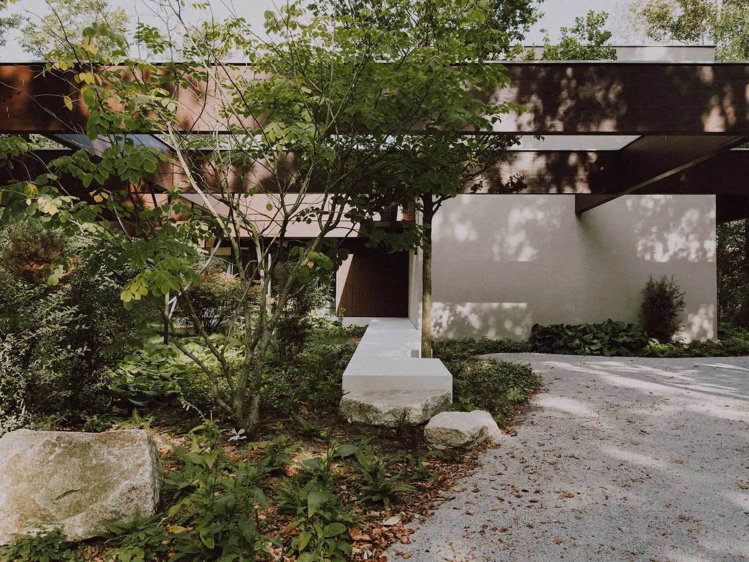 Modern minimalist house entrance featuring a concrete pathway, large stepping stones, lush garden plants, and a tree casting shadows on a white concrete wall under a dark overhanging roof.