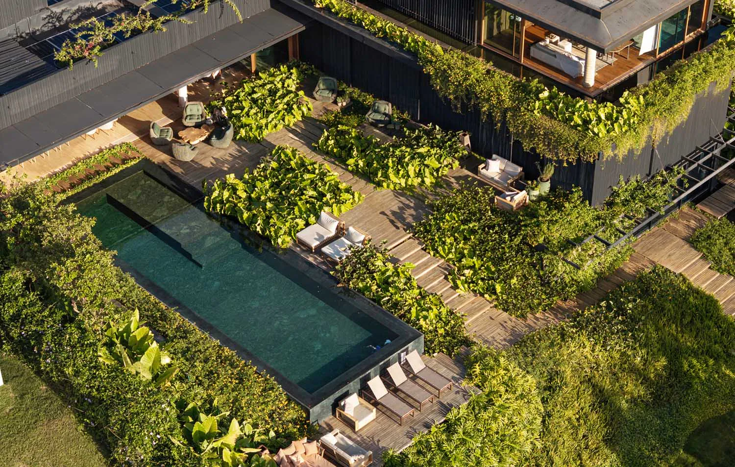 Aerial photograph of a modern rooftop terrace with a rectangular infinity pool, wooden decking, multiple lounge areas, and dense tropical vegetation on a contemporary dark building.