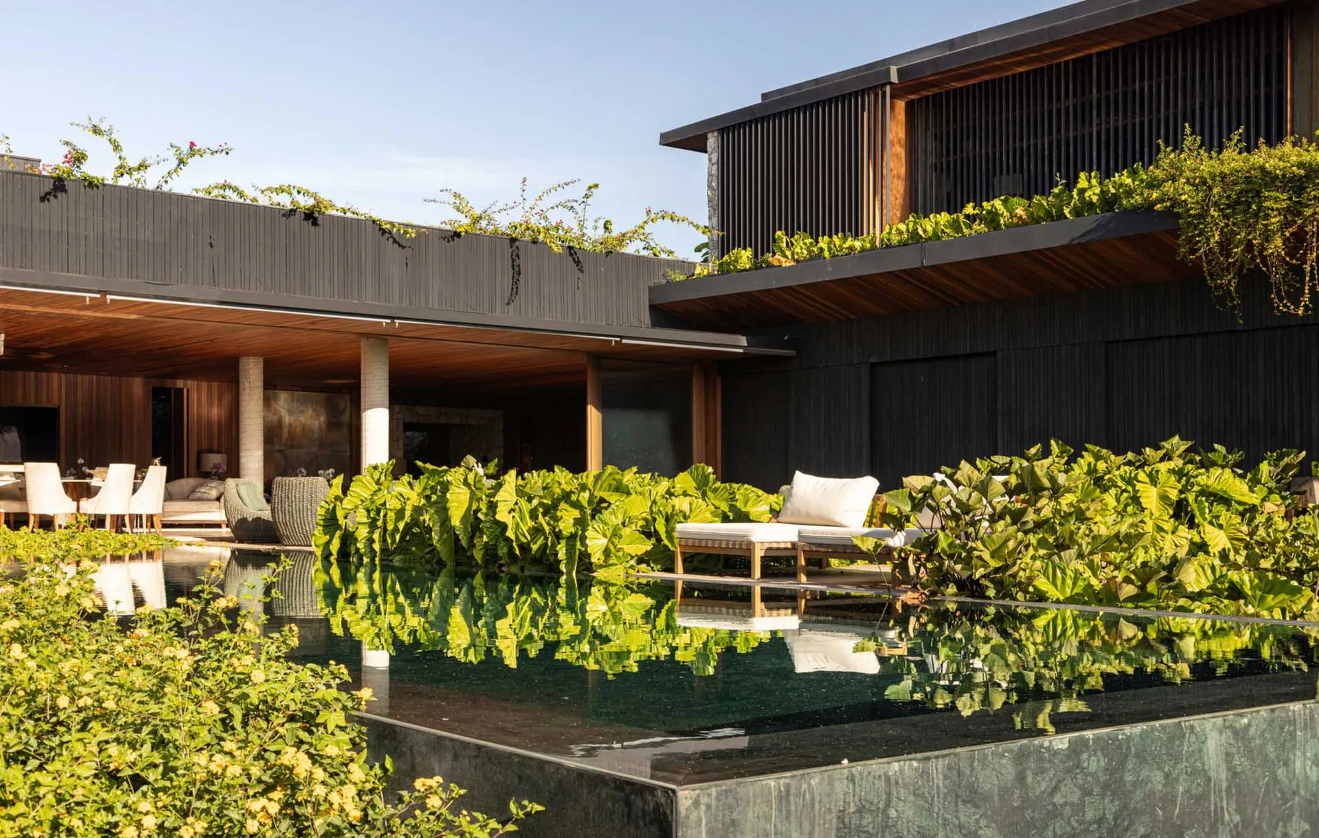Modern luxury villa with charred wood exterior, reflective pool, and abundant green tropical plants under a clear blue sky.