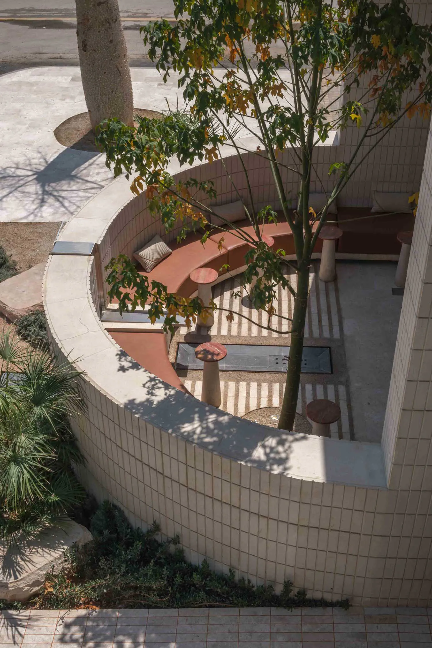 High-angle view of a modern outdoor courtyard with a curved terracotta-tiled bench, built-in cushions, cylindrical concrete stools, and a central papaya tree casting shadows on white tiled walls.
