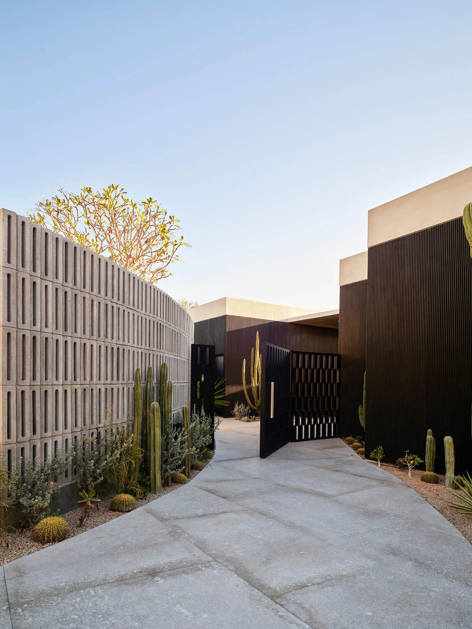Modern desert courtyard featuring a curved concrete block screen wall, dark wood slat facade, black metal gate, concrete pavers, and drought-tolerant cacti and succulents under a clear blue sky.