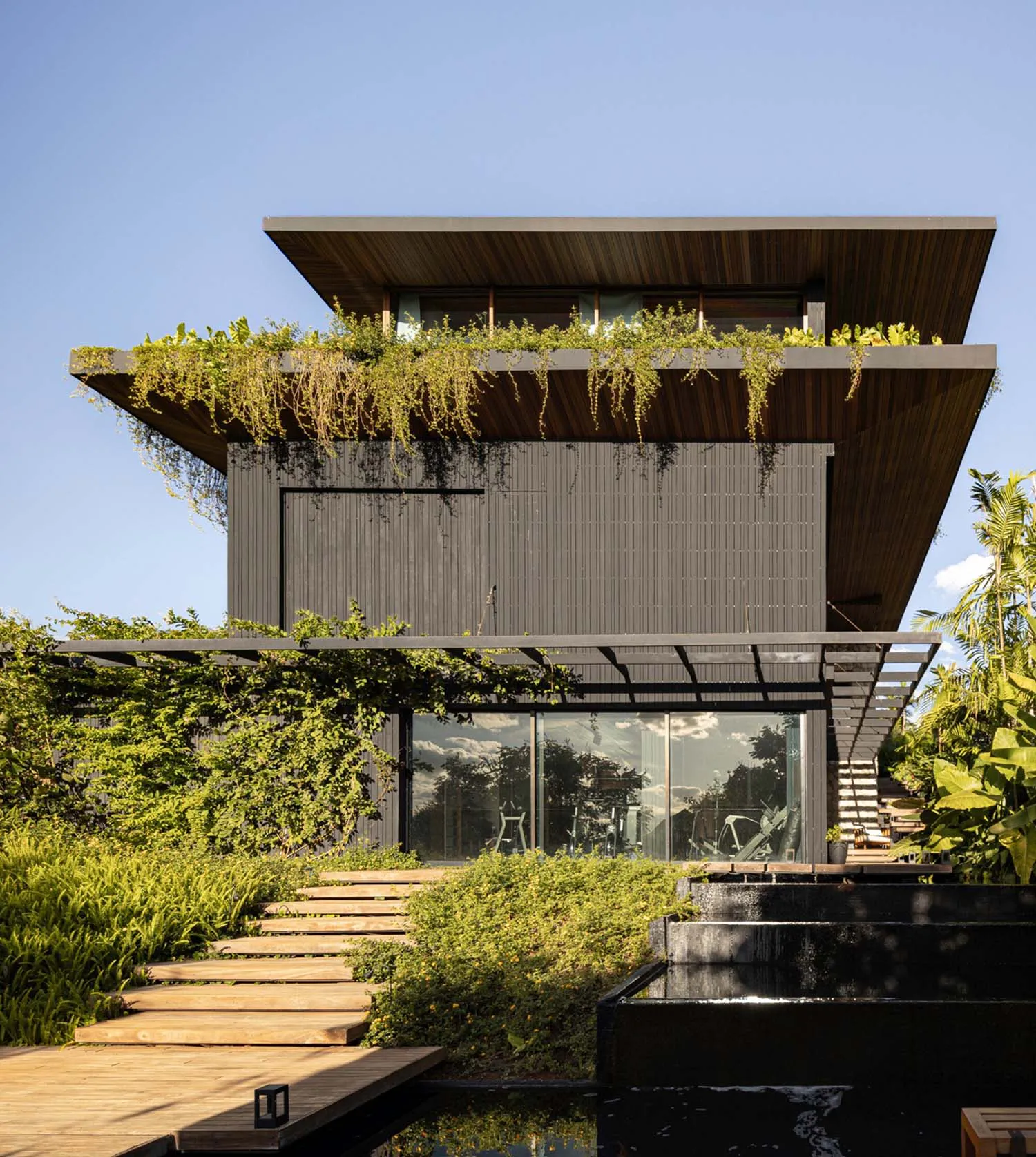 Front view of a two-story modern tropical house with dark wood and concrete facade, extensive hanging plants on the upper cantilevered roof, wooden walkway, and a black water feature in a lush garden setting.