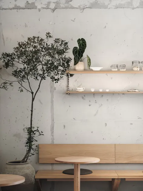 Interior view of a minimalist cafe featuring a light oak wooden bench and matching round table, a tall potted tree in a ceramic pot, floating wooden shelves with tableware, and a raw concrete wall.