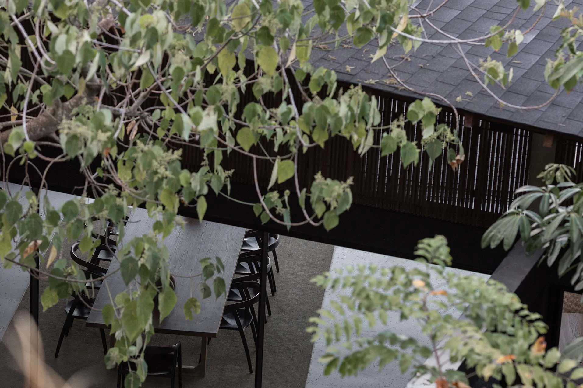 High-angle view of a modern outdoor dining table with black chairs on a concrete and carpeted courtyard floor, partially framed by green tree branches and a dark wooden slatted building facade in the background.