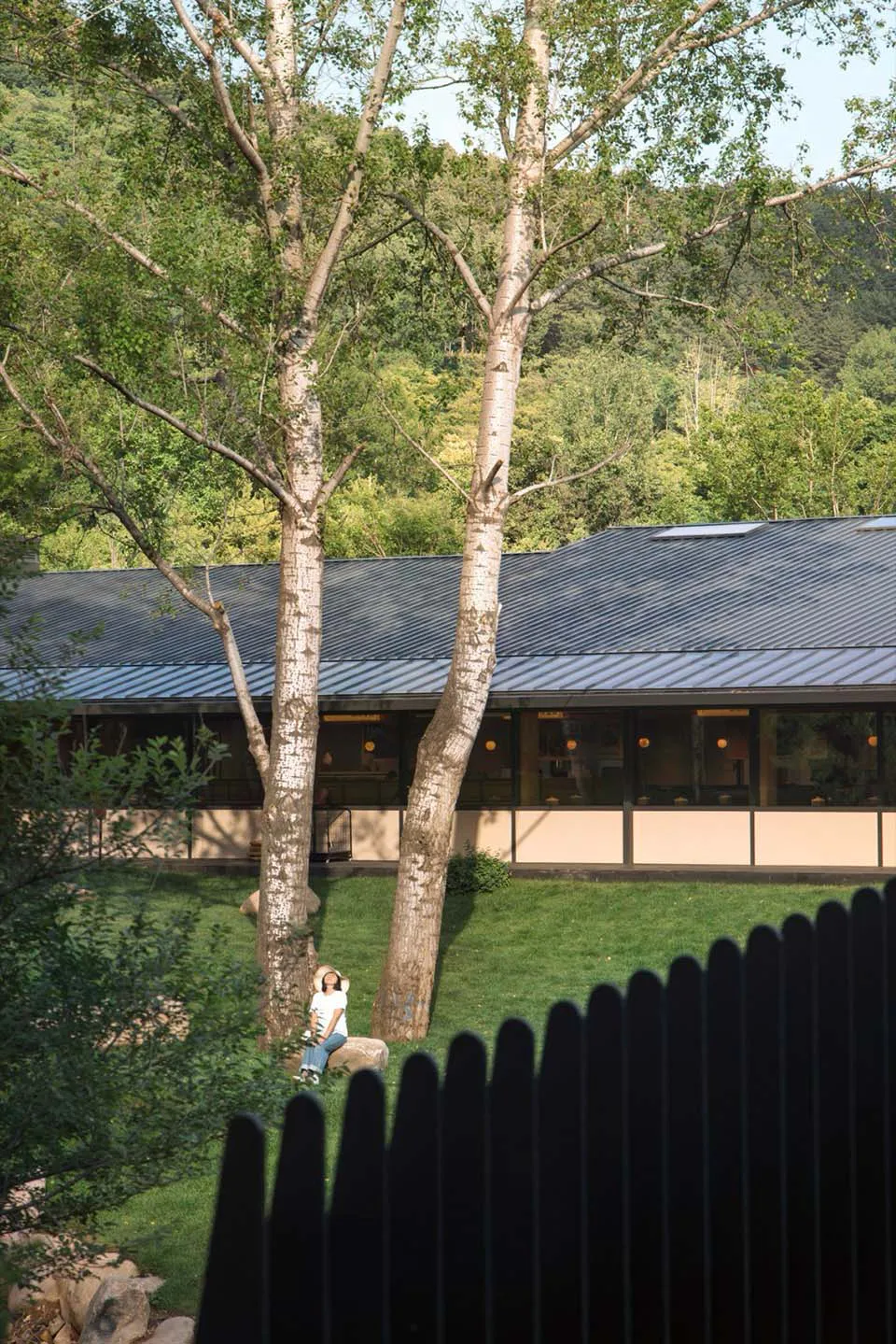 Modern single-story house with dark corrugated metal roof and large windows, surrounded by tall birch trees and green lawn, with a woman sitting on a rock in the foreground.