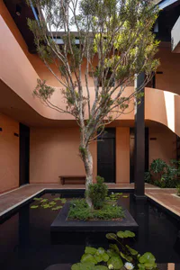 Modern courtyard garden with a central tree planted on a black platform in a dark reflective pond filled with water lilies, surrounded by curved terracotta-colored walls and dark wood doors.