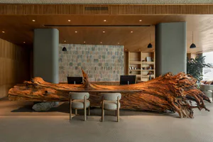 A large reception desk made from a massive polished live-edge wood slab with natural gnarled edges, positioned in a modern lobby with two upholstered chairs in front, computer monitors behind, wood-paneled ceiling, stone-tiled accent wall, and cylindrical pillars.