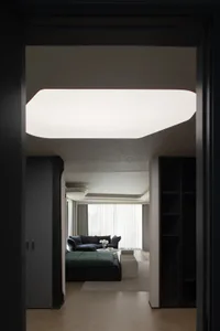 View from a dark doorway into a modern living room featuring a large sculptural ceiling light, dark green modular sofa, and light herringbone wood flooring.