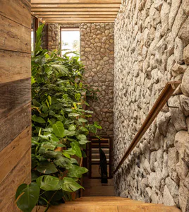 View looking down a wooden staircase with a massive natural stone wall on the right, warm wood paneling on the left, and abundant tropical plants including monstera and palms filling the space.