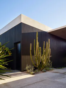 Modern building with dark corrugated metal facade, black entrance door, and a desert garden featuring tall saguaro-style cacti under a clear blue sky.