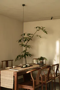 Minimalist dining room featuring a long dark rosewood table, matching wishbone chairs, a tall pendant light, and a large pachira aquatica tree in the corner.