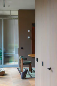 Modern minimalist interior featuring a wooden dining table, green upholstered chair, Sphynx cat on a green and black rug, large glass doors, and warm wood flooring.