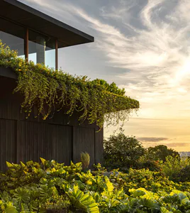 Modern dark wood house with abundant cascading green plants and flowers on an overhanging balcony during sunset, surrounded by tropical foliage.