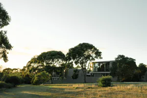 Modern house with large glass windows and corten steel cladding surrounded by mature eucalyptus trees in a grassy field during golden hour sunset