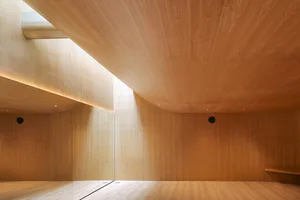 Minimalist interior featuring a large curved light oak ceiling with seamless wood paneling and hidden LED lighting.