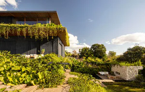 Modern dark charred wood house with a living green roof covered in cascading plants, surrounded by a lush tropical garden with wooden walkways and outdoor seating areas under a bright blue sky.