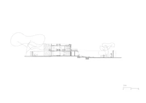 Black and white architectural section drawing of a modern two-story house featuring stone walls, large glass openings, and integrated courtyard planting.