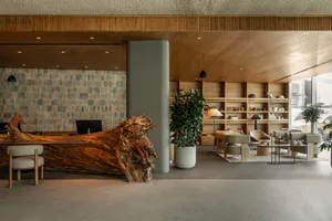 Modern hotel lobby featuring a massive live-edge wood reception desk, textured stone wall, built-in wooden bookshelves, contemporary seating area with beige upholstery, and large potted plants under warm wooden ceilings.