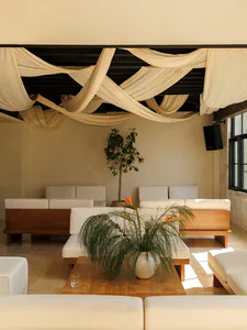 Modern indoor lounge with white upholstered sofas, wooden teak bases, a central wooden coffee table with potted bird of paradise and ponytail palm, and dramatic draped cream fabric on a dark ceiling.