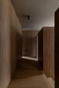 Long narrow hallway completely clad in warm walnut wood panels on walls, ceiling trim, and floor, featuring a modern green ceiling spotlight casting strong diagonal shadows across the space.