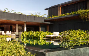 Modern luxury villa with charred wood exterior, reflective pool, and abundant green tropical plants under a clear blue sky.