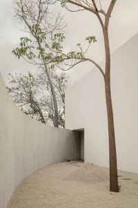Minimalist courtyard featuring a tall curved concrete wall, a solitary tree with green leaves, and a ground covered in light-colored sand and gravel under an overcast sky.