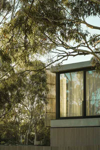 Modern house exterior with large glass windows, vertical wooden slats, concrete elements, and surrounding eucalyptus trees with sunlight filtering through the branches.