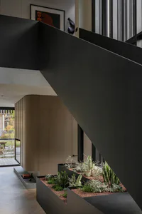 Modern interior view of a bold black concrete staircase with integrated planter boxes containing various cacti, succulents and ornamental grasses, with light wood cabinetry and large windows in the background.