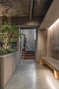 Modern minimalist hallway featuring polished concrete floors, textured concrete walls and ceiling, a built-in wooden bench with grey cushion, a large indoor tree in a concrete planter, and a staircase with wooden treads leading to a lower level.