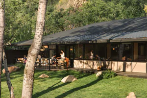Modern cafe building with corten steel roof and large glass windows, outdoor seating area on a green lawn surrounded by trees and rocks, with people enjoying drinks inside.