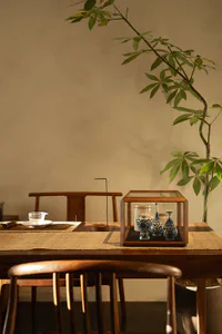 A minimalist dining area featuring a dark rosewood table and chairs, a glass display case containing blue-and-white porcelain vases and jars, a tall potted plant with green leaves, and a traditional Chinese tea set on a woven mat under soft natural lighting.